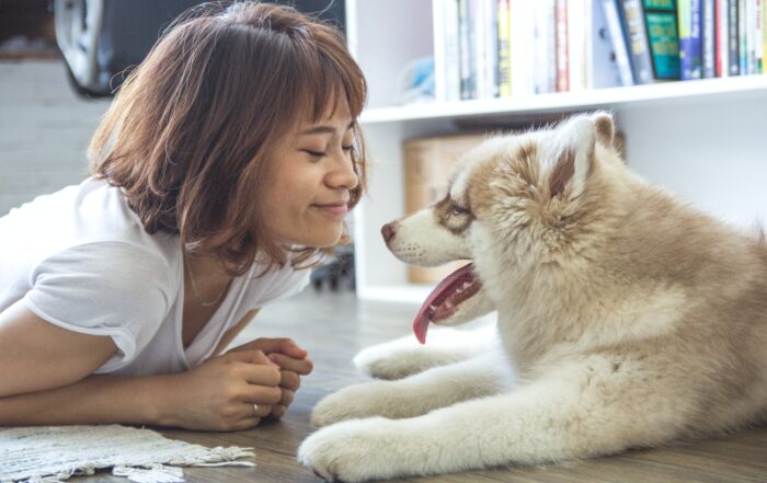 Principal Images Pets