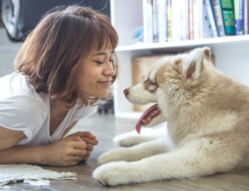 How pets facilitate recovery after weight loss surgery