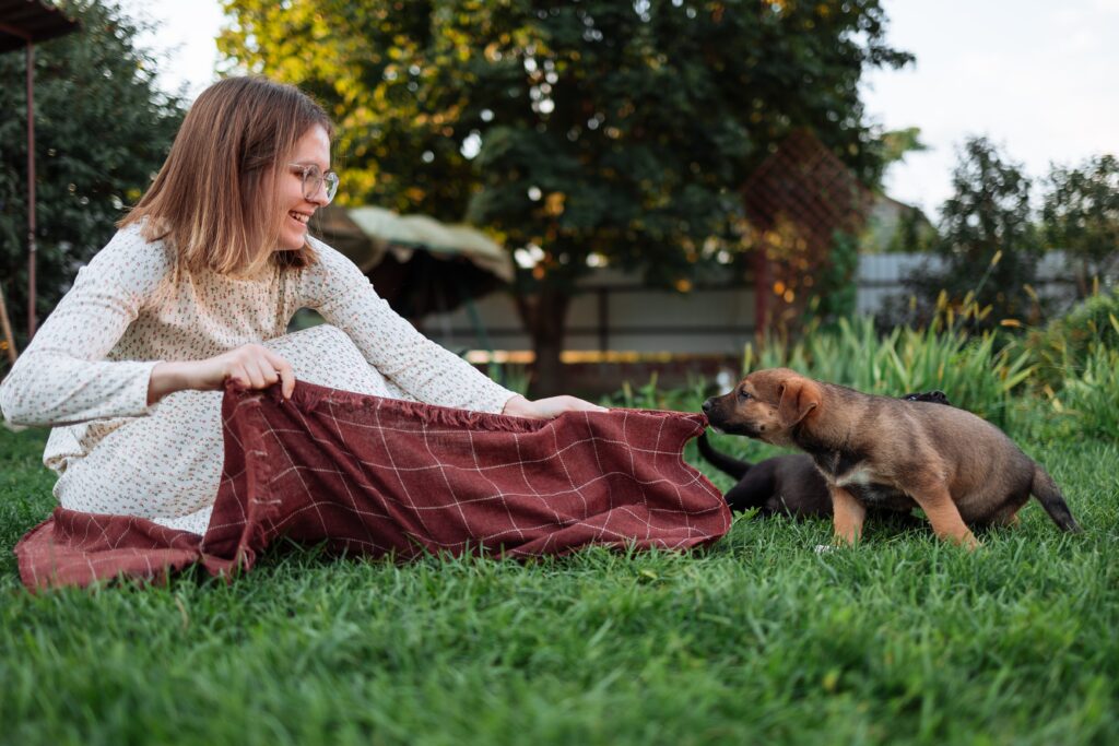 pets helps recovery