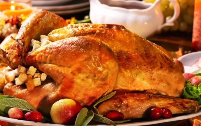 Principal Image of THancksgiving post blog